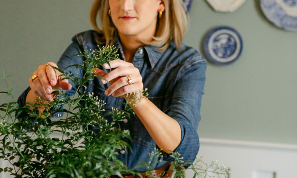 Emily Infinger Hidden Gems: Meet Emily Infinger of Emily Rebecca Design – Voyage South ...