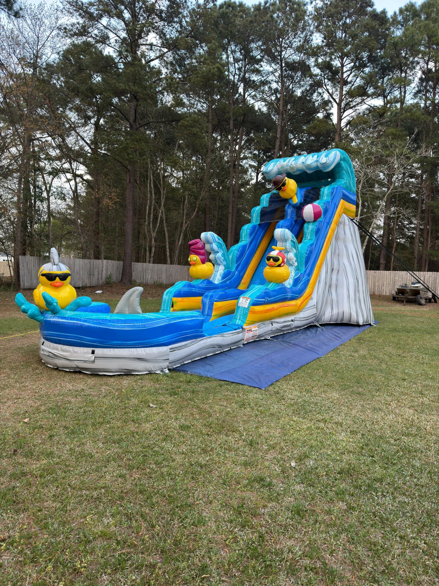 Inflatable water slide with duck characters, set up outdoors on grass with trees in background.
