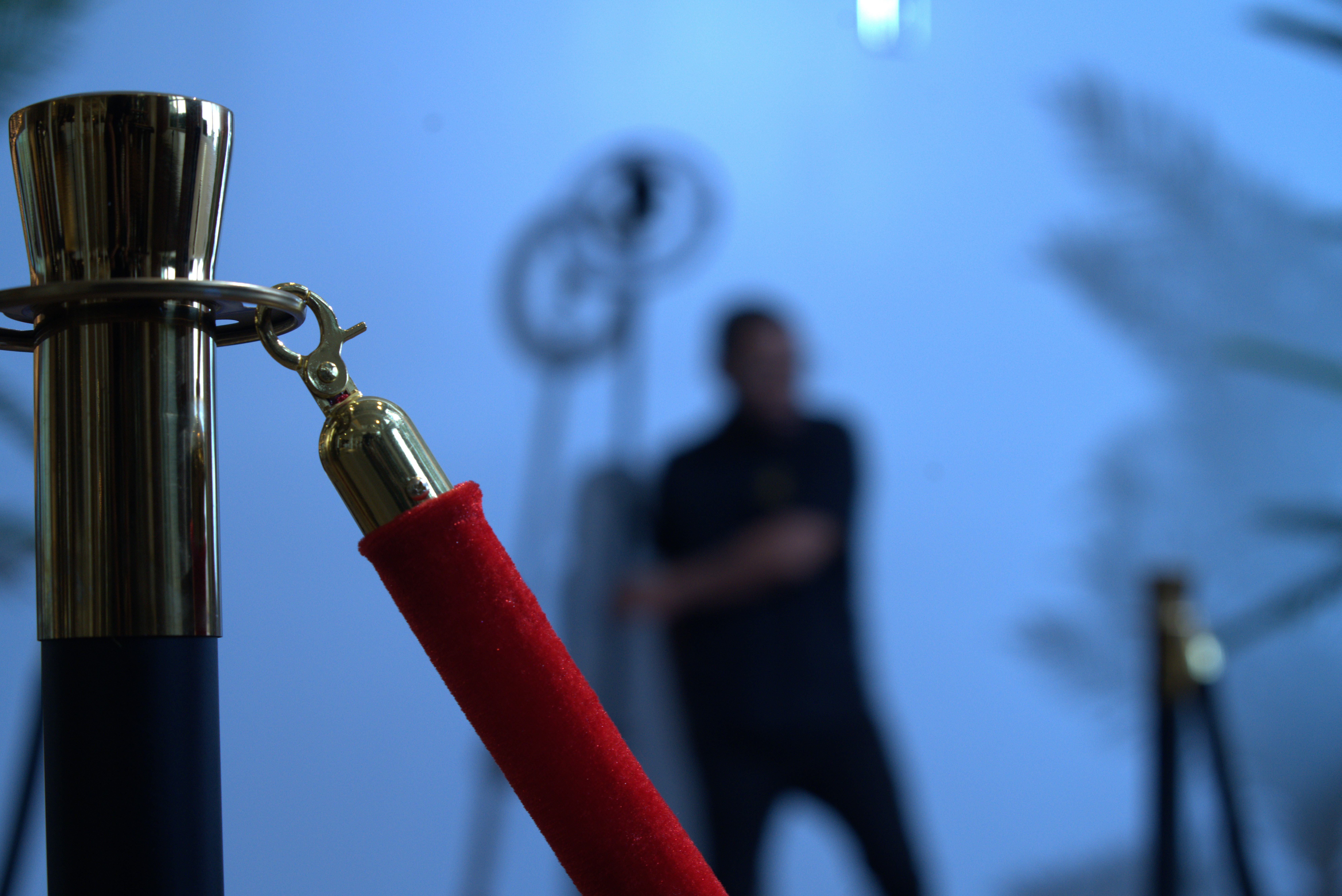 Close-up of a red velvet rope barrier with a metal stanchion, blurred person and decorative elements in background.
