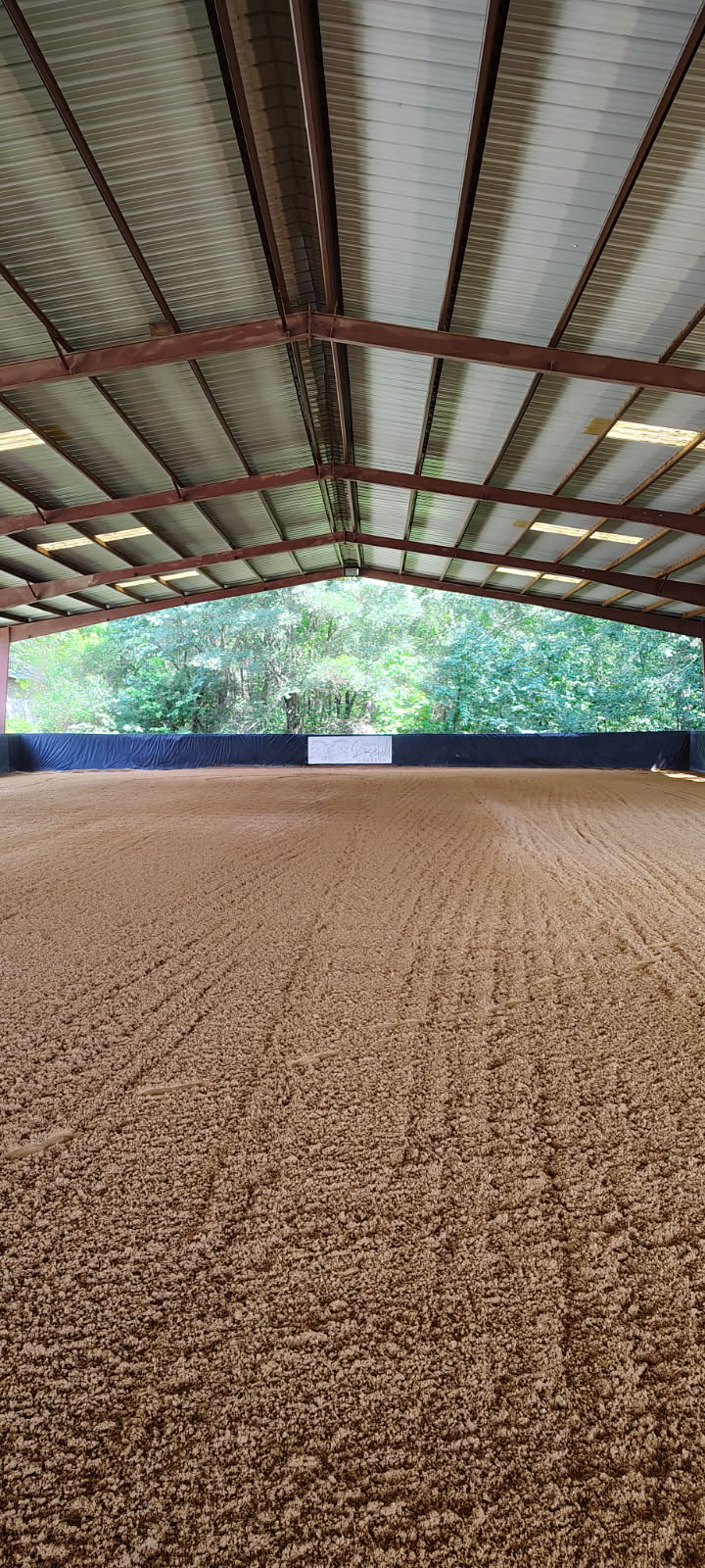 Indoor riding arena with a sandy floor, metal roof, and open sides showing trees outside.