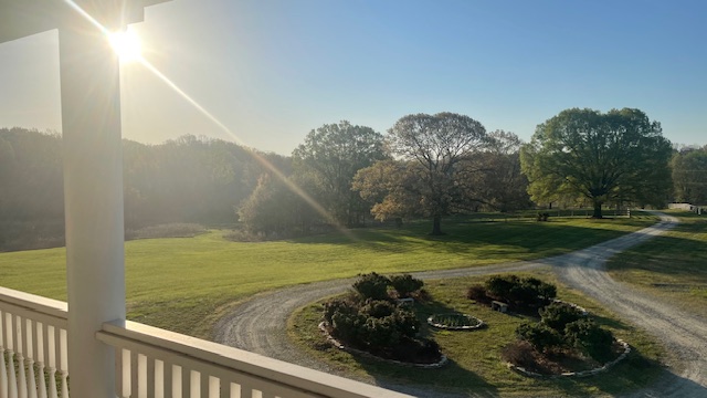 View of a park with trees, a grassy area, and a curved dirt path, seen from a porch with a white railing.