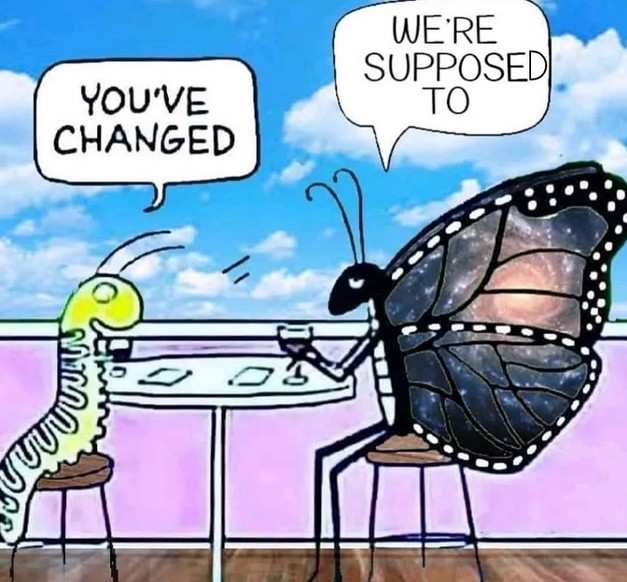 A cartoon caterpillar and butterfly sit at a table, talking about change and expectations, with speech bubbles above their heads.