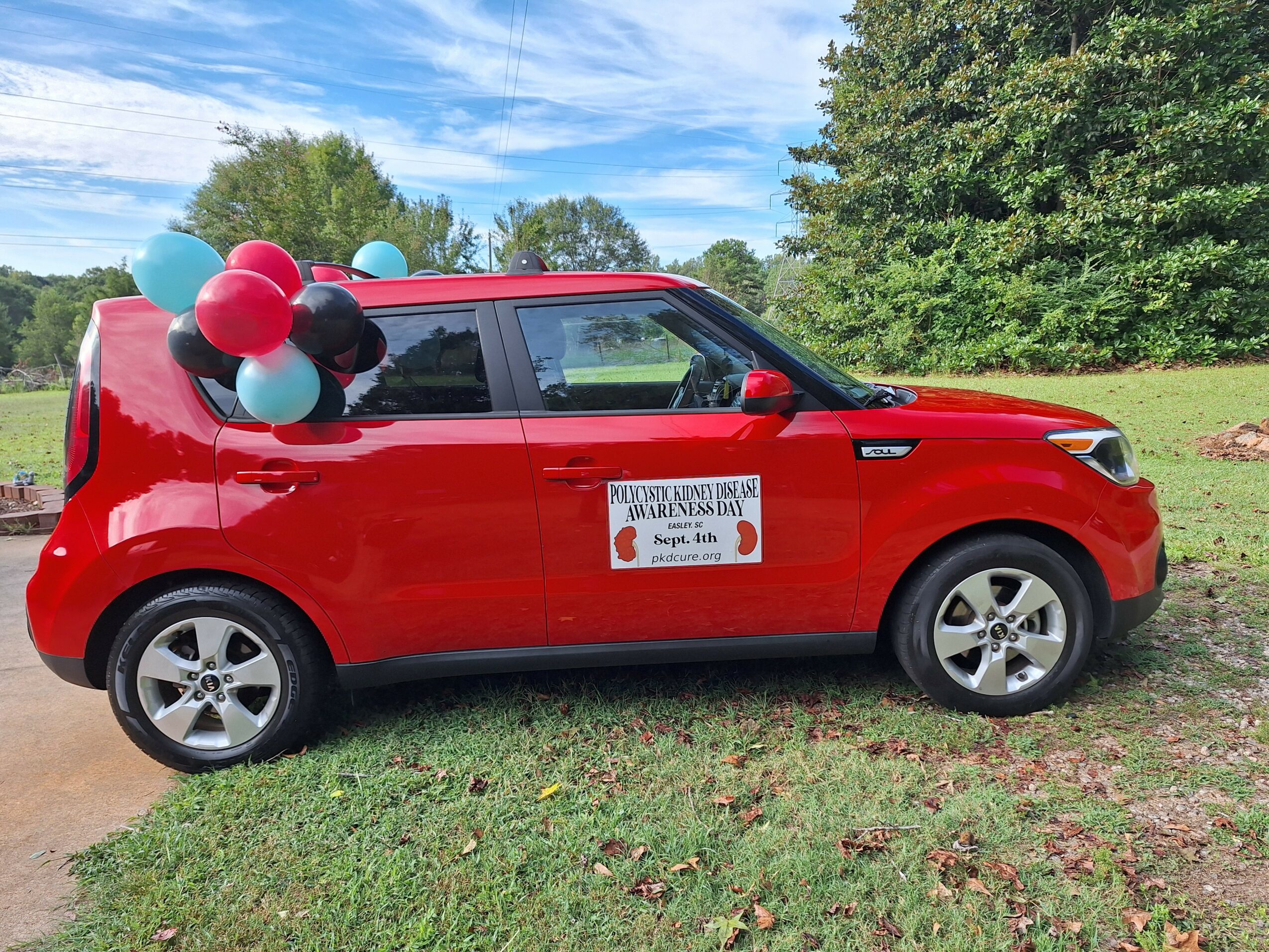 Red car with balloons attached to the back window, parked on grass with trees and blue sky in background.