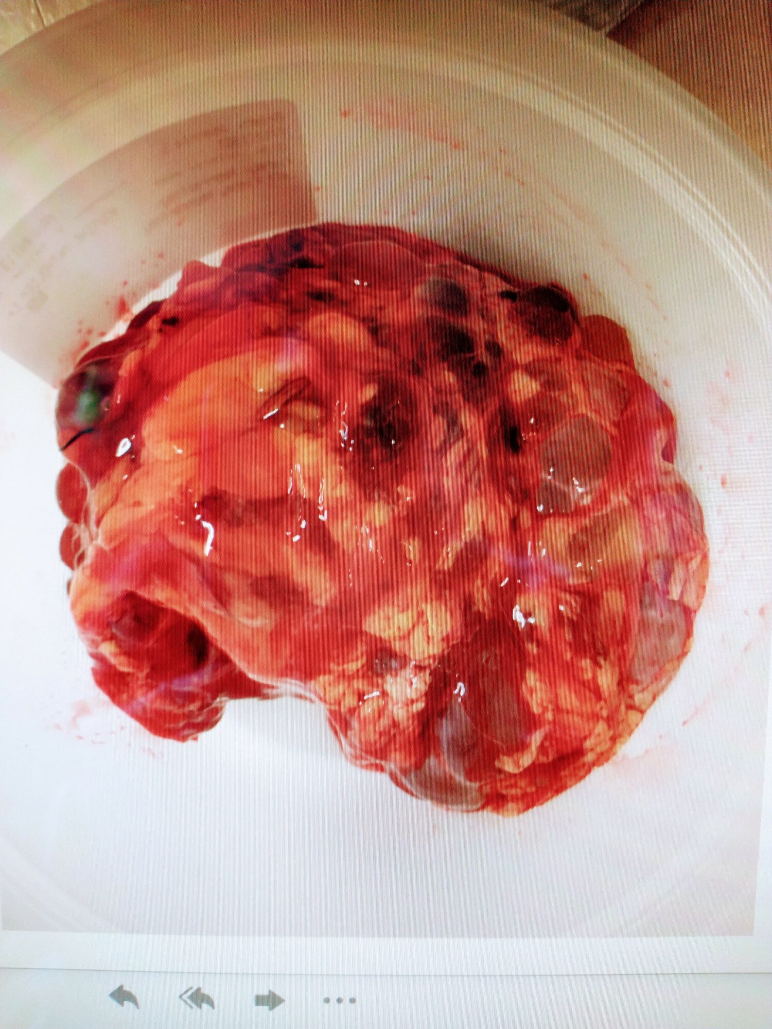 A close-up of a red, irregularly shaped object inside a container, with a shiny, textured surface.