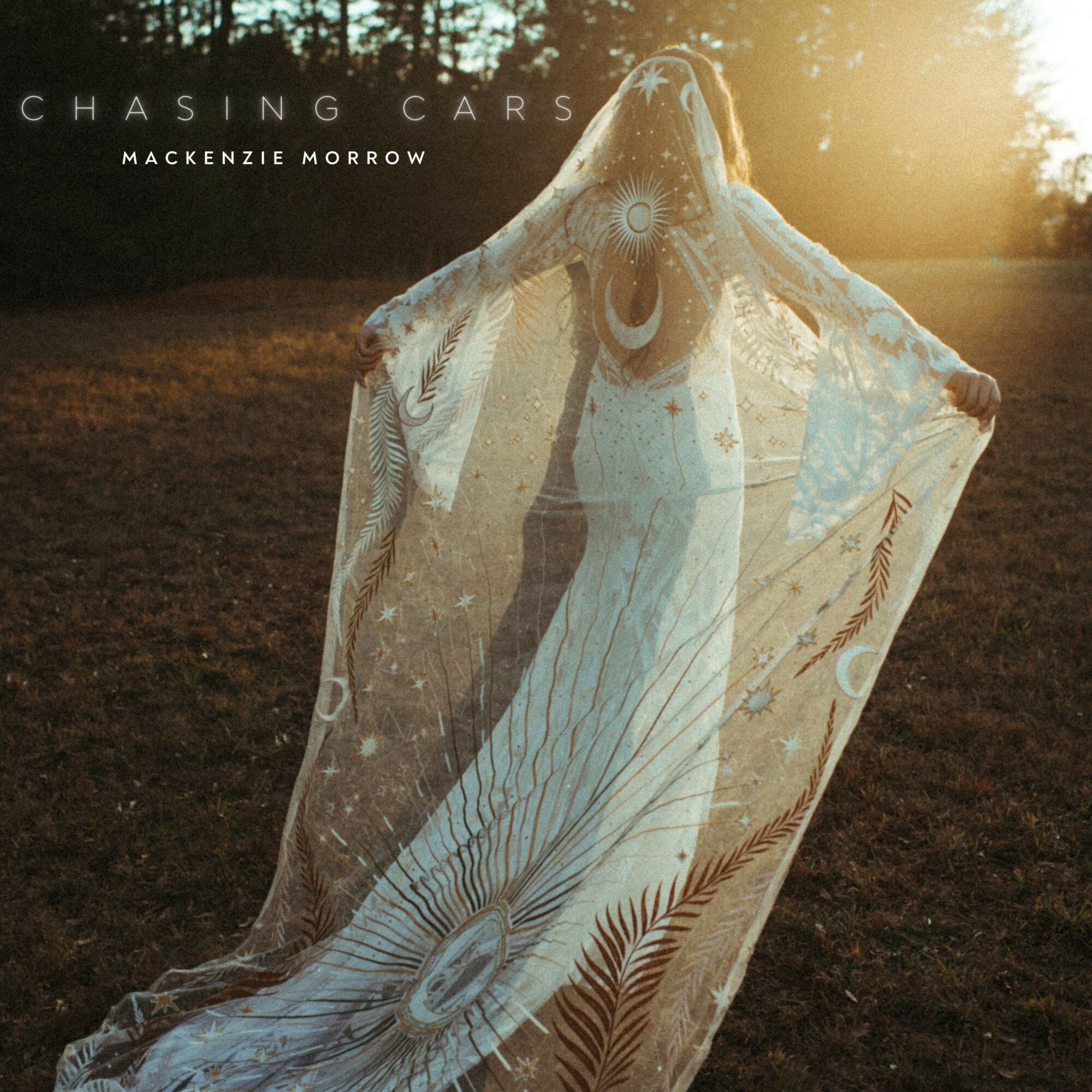 Person holding a sheer fabric with a peacock feather design outdoors at sunset, with trees in the background.