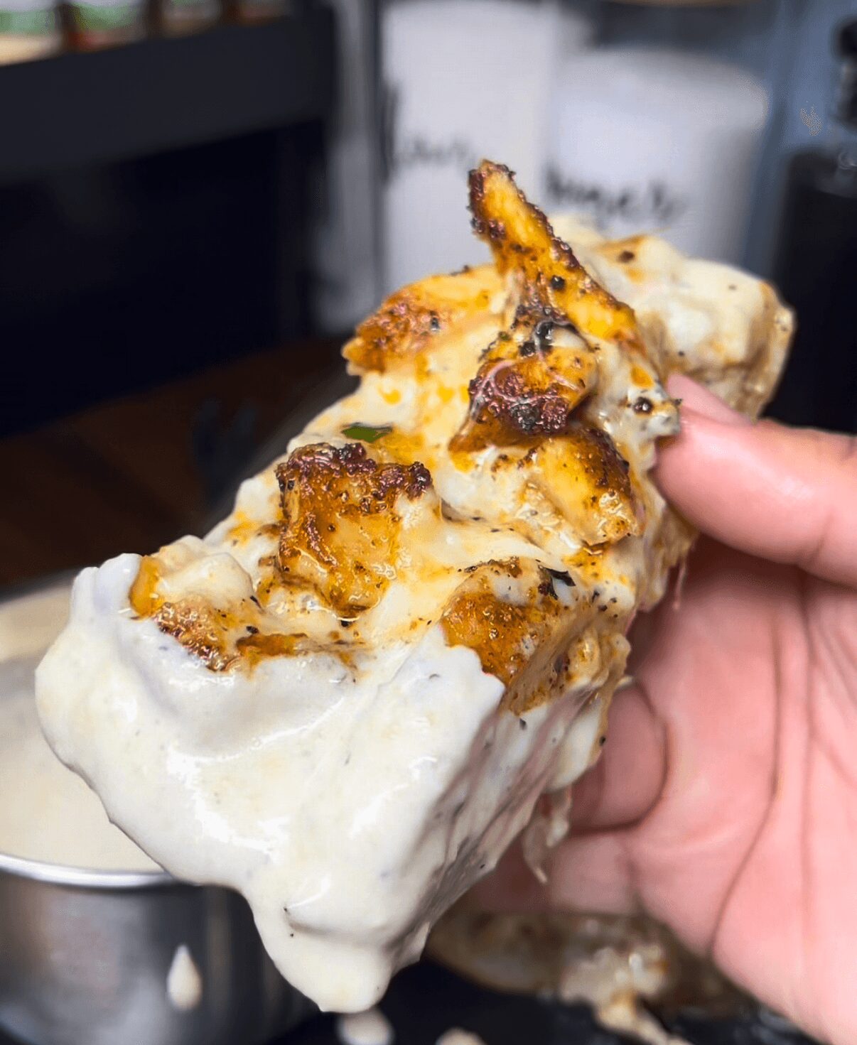Person holding a slice of bread topped with melted cheese and grilled chicken pieces, with a blurred background.