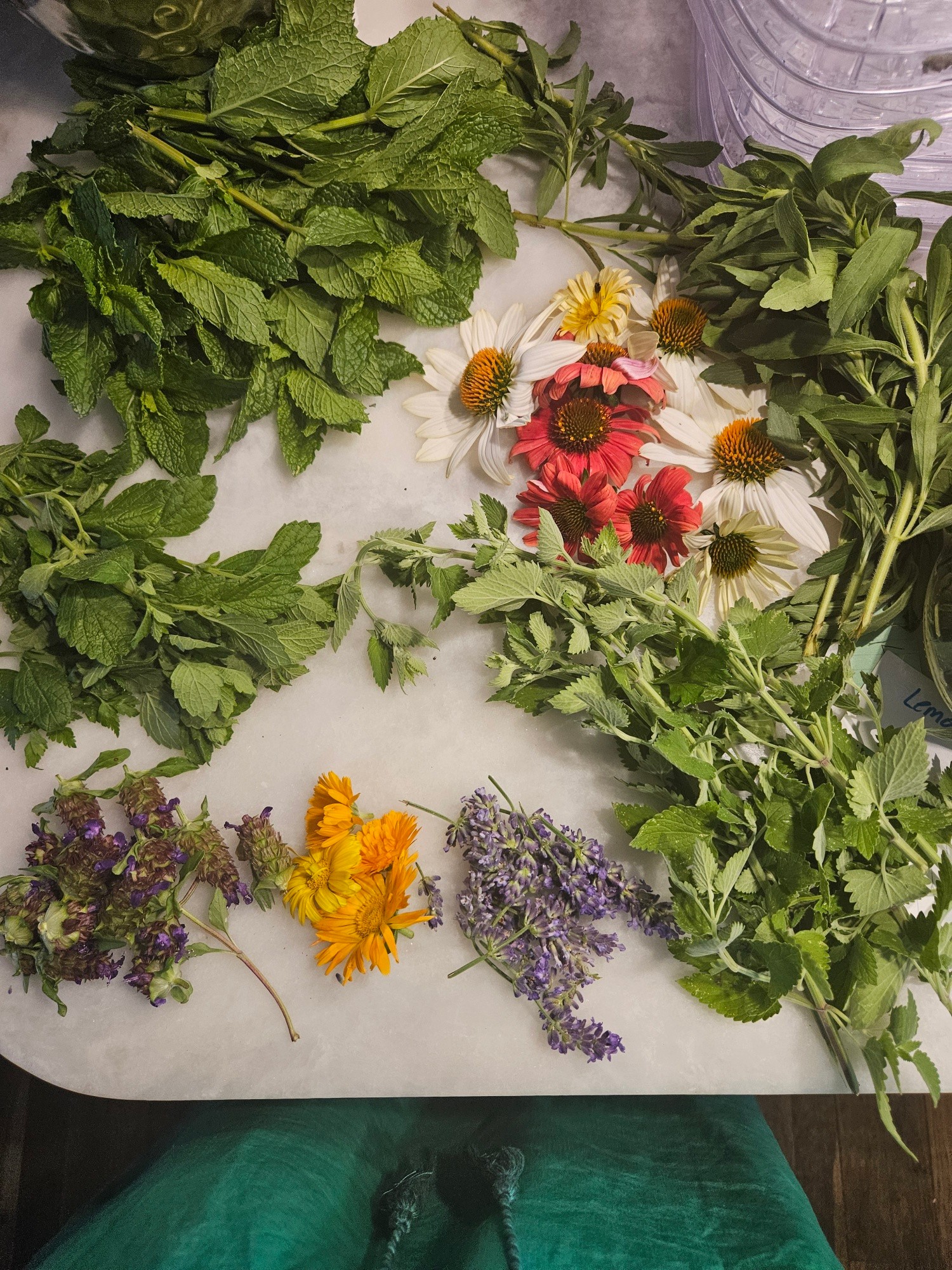 Various fresh herbs and flowers, including mint, chamomile, lavender, and marigold, arranged on a white surface.