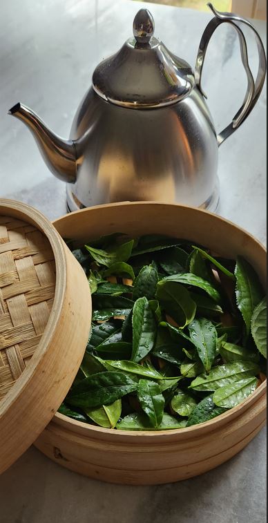 Metal teapot behind a wooden bowl filled with green leaves, with a woven lid partially covering the bowl.