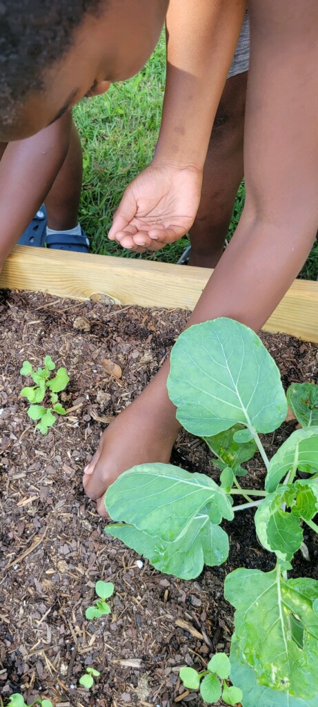 Two children planting seedlings in soil, with one child's hand in the dirt and a leafy plant nearby.