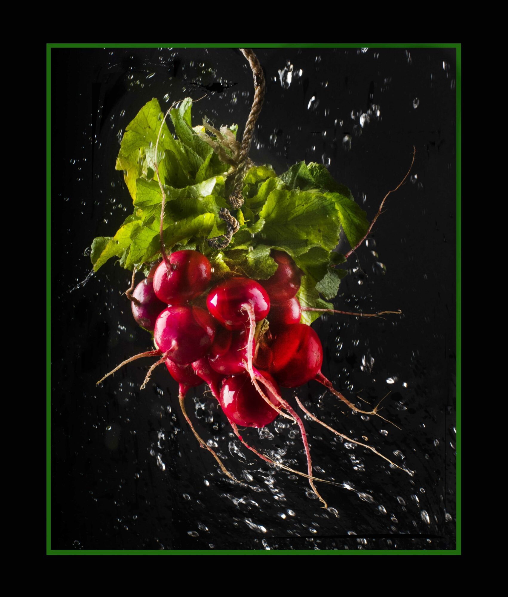 Radishes with green leaves are splashed with water against a black background.