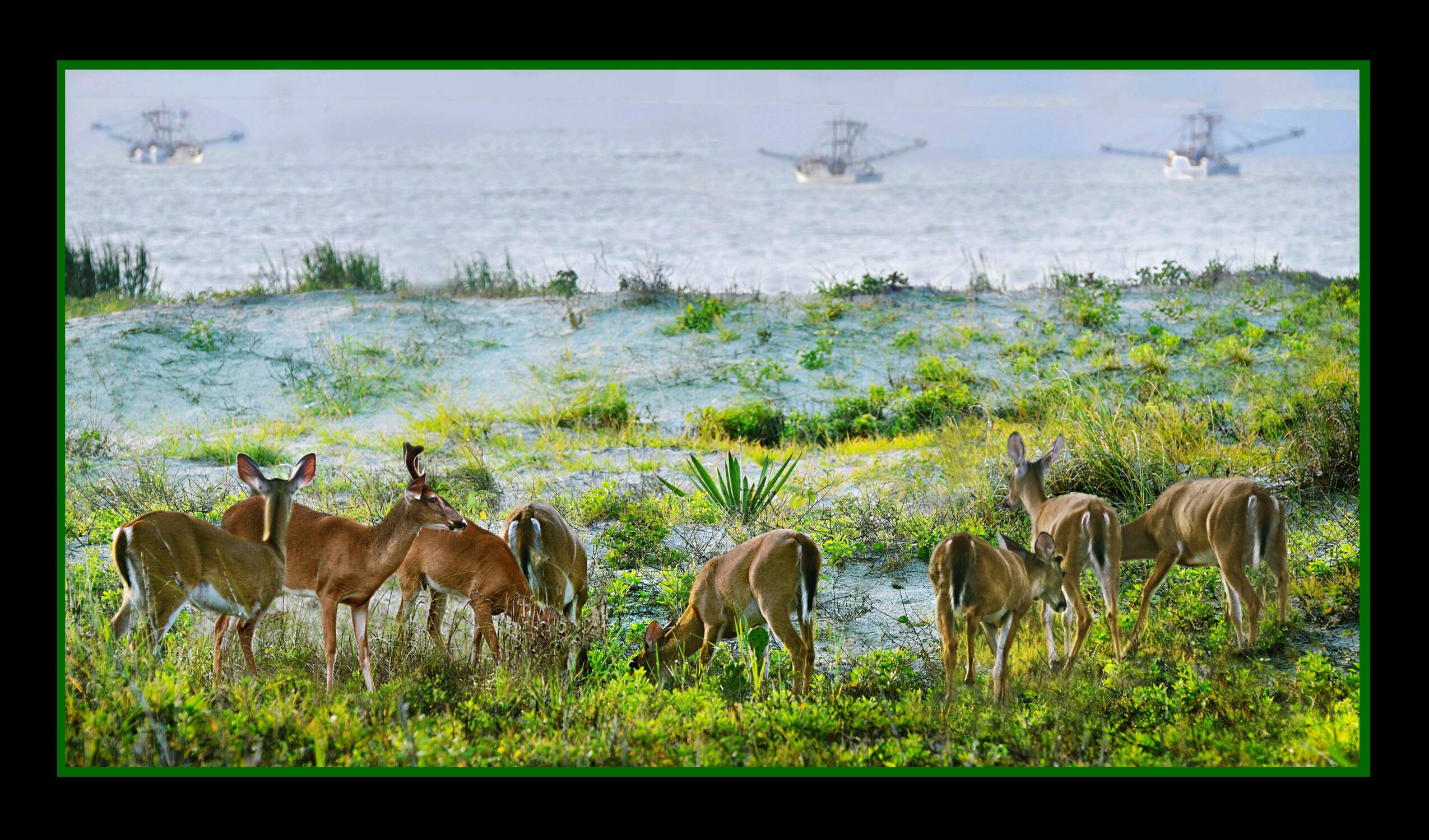 Group of deer grazing near water with helicopters flying in the sky above, lush green vegetation in foreground.