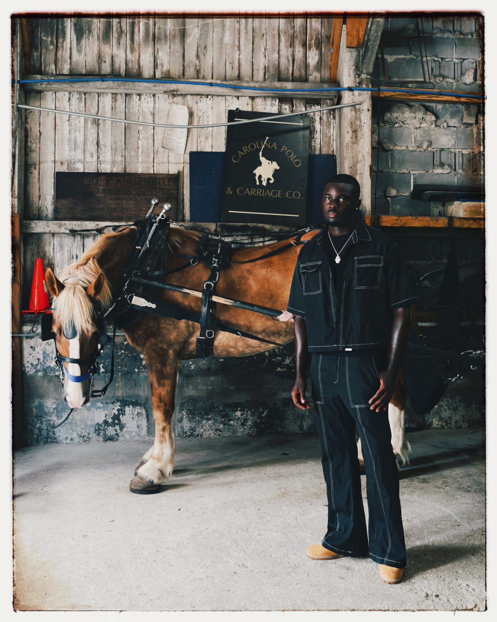 Person standing next to a horse in a stable with a sign reading 'A Caribbean Co.' behind them.