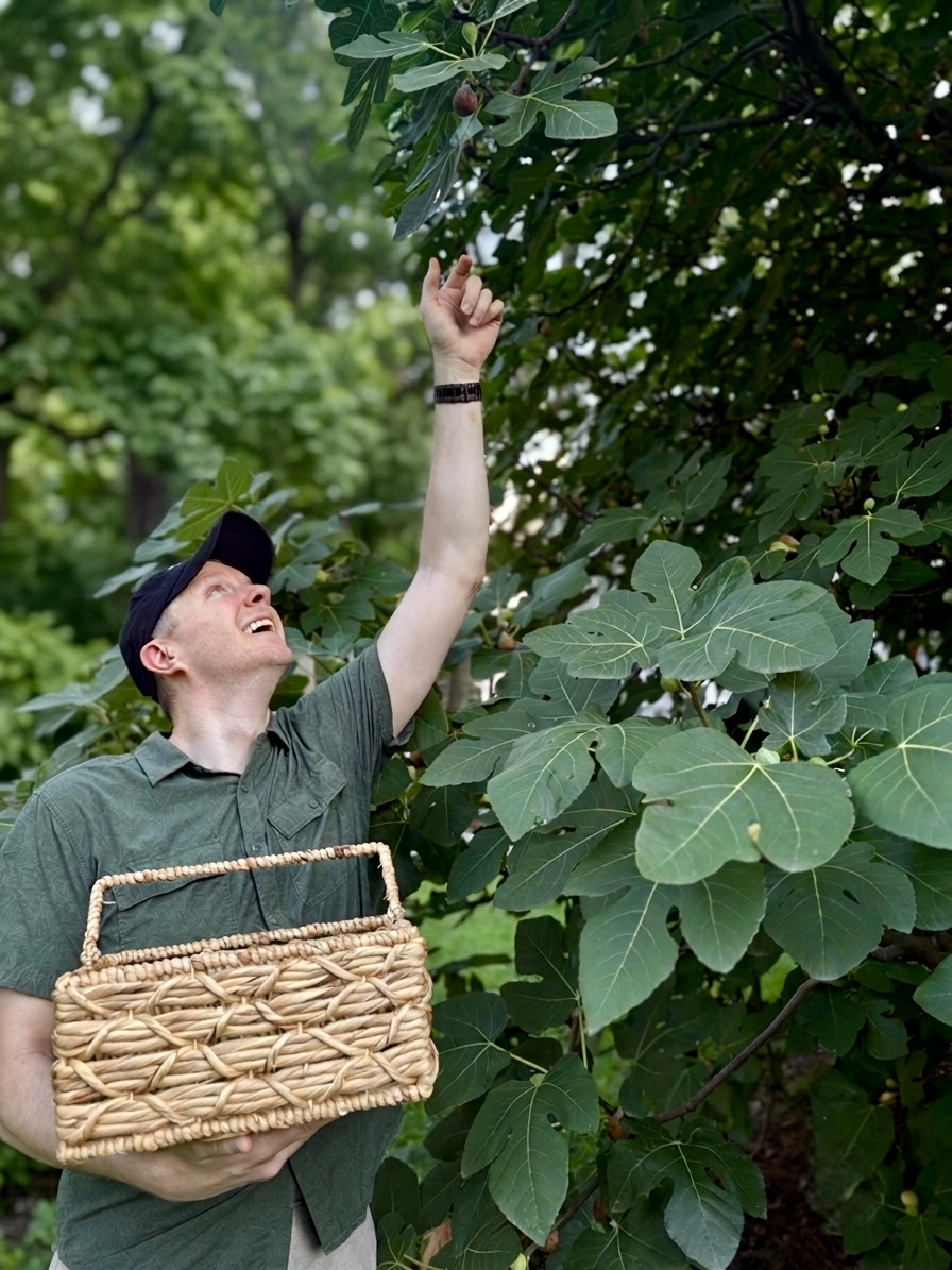 Person reaching up towards tree leaves while holding a woven basket, surrounded by green foliage.