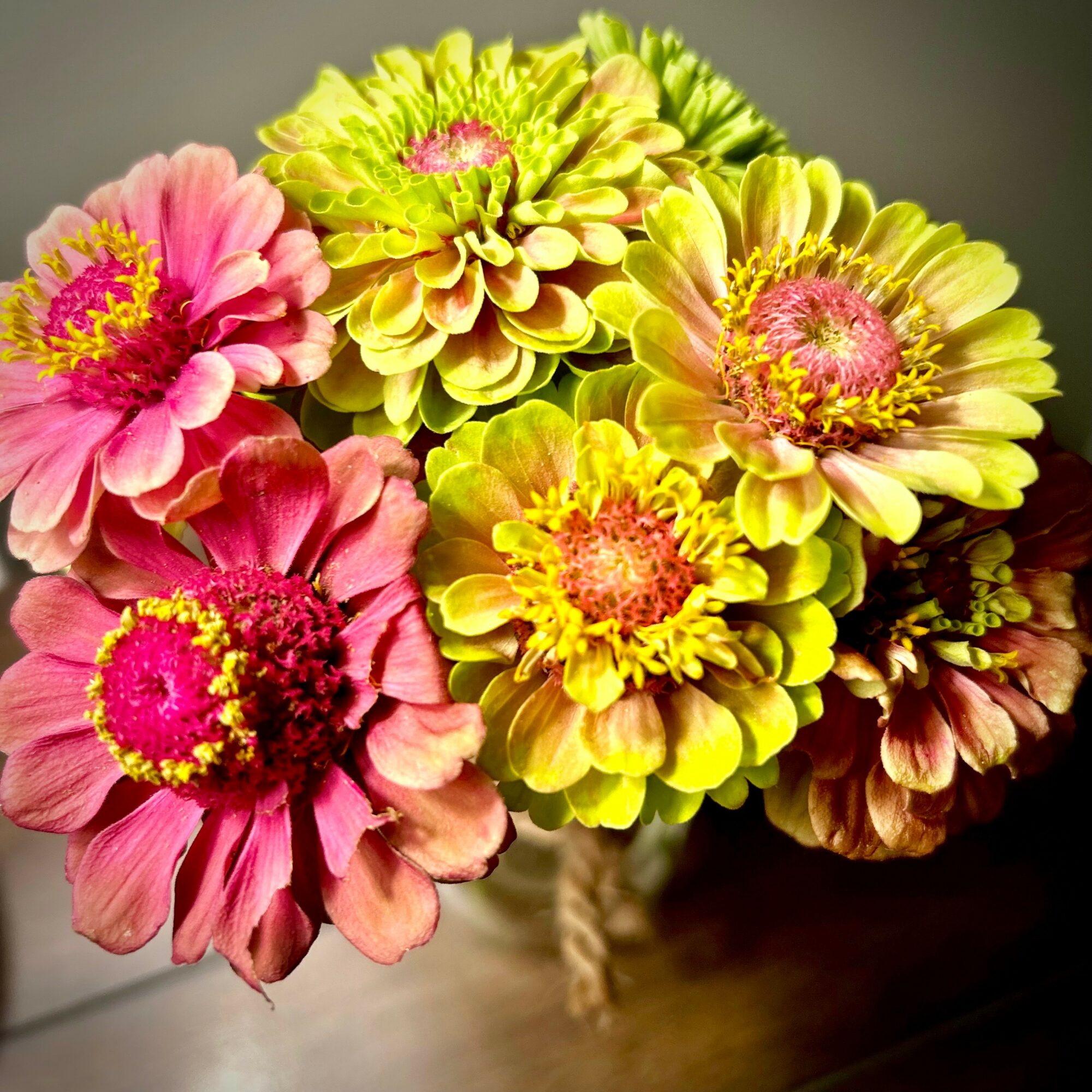 Close-up of colorful flowers with pink, yellow, and green petals, arranged in a bouquet, on a wooden surface.