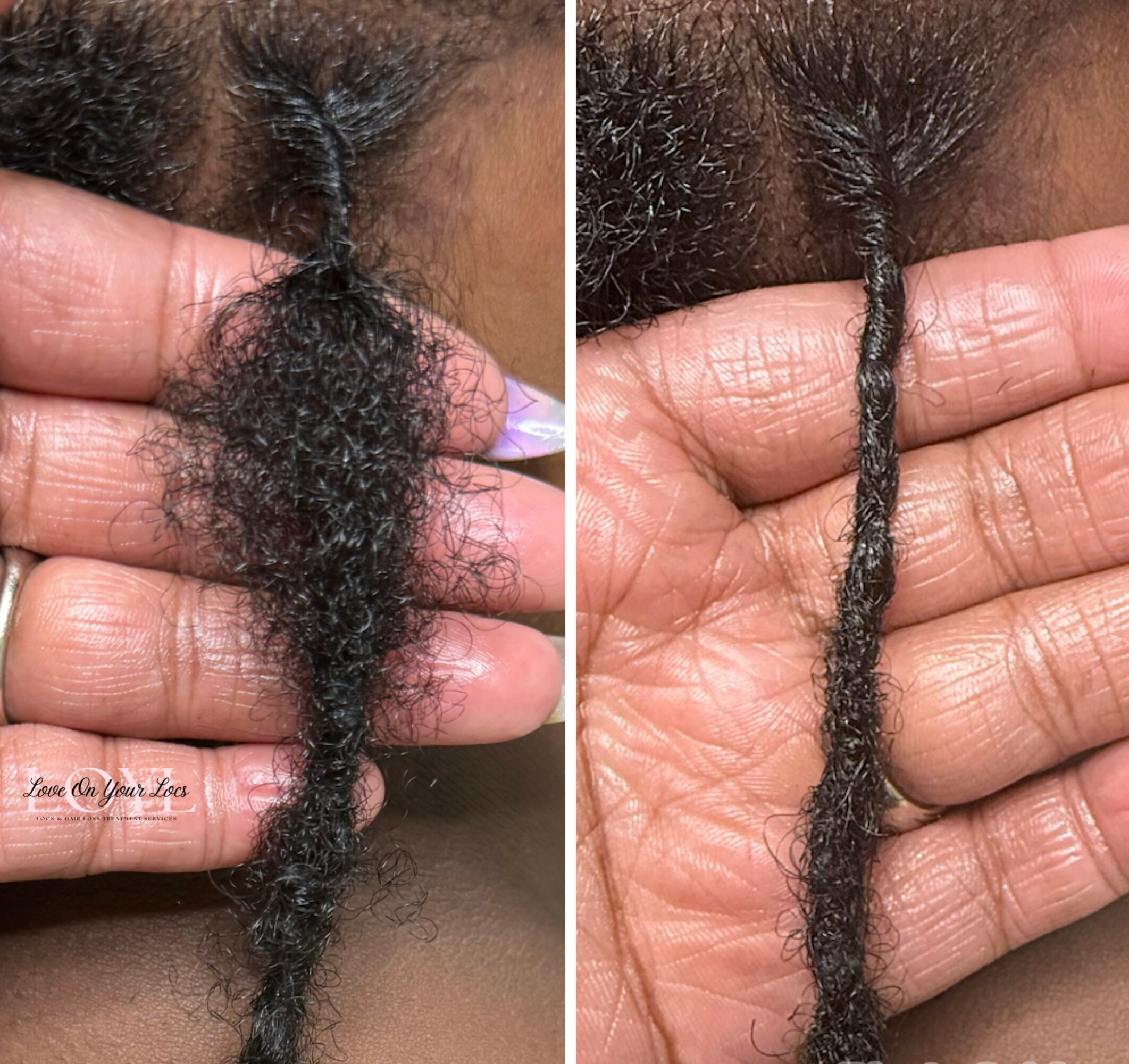 Close-up of a hand holding a hair strand, showing a comparison of curly and straight hair textures.