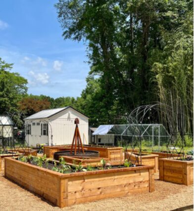 Garden beds with plants, greenhouse, shed, trees, and blue sky in background.