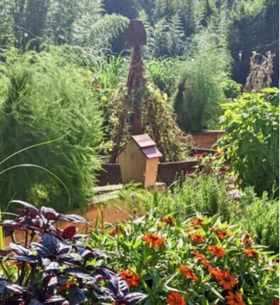 A lush garden with colorful flowers, green plants, and a wooden structure in the background, surrounded by trees and foliage.