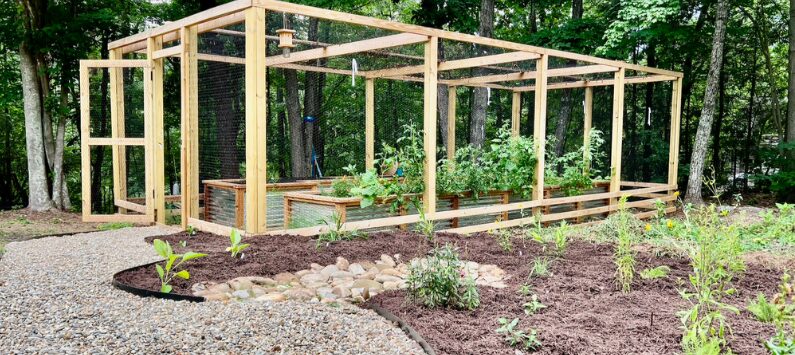 Wooden framework for a garden structure in a landscaped outdoor area with plants and trees.