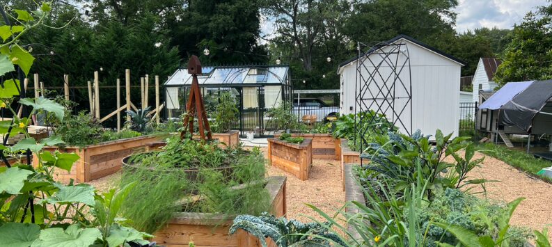 Community garden with raised beds, greenhouses, and plants, surrounded by trees and structures, under a partly cloudy sky.