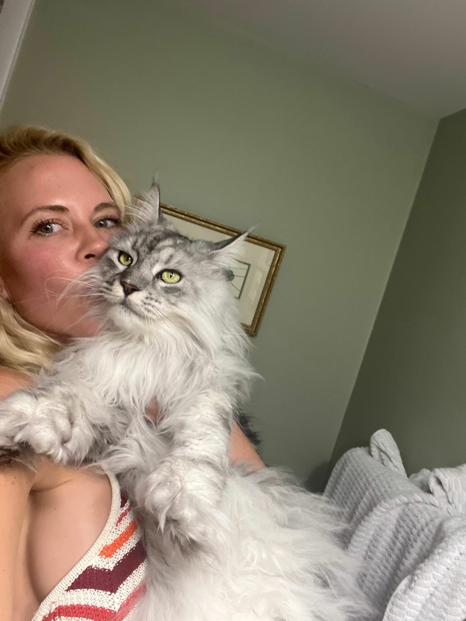 Person with long blonde hair lying on a bed with a fluffy gray cat, green wall background, framed picture, bed linens visible