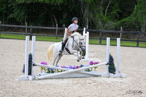 Child riding a white horse over a jump in an outdoor arena, with trees and a fence in the background.
