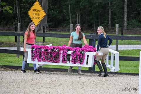 Three women stand around a white cart decorated with pink flowers outdoors, with a fence, trees, and a yellow sign in background.