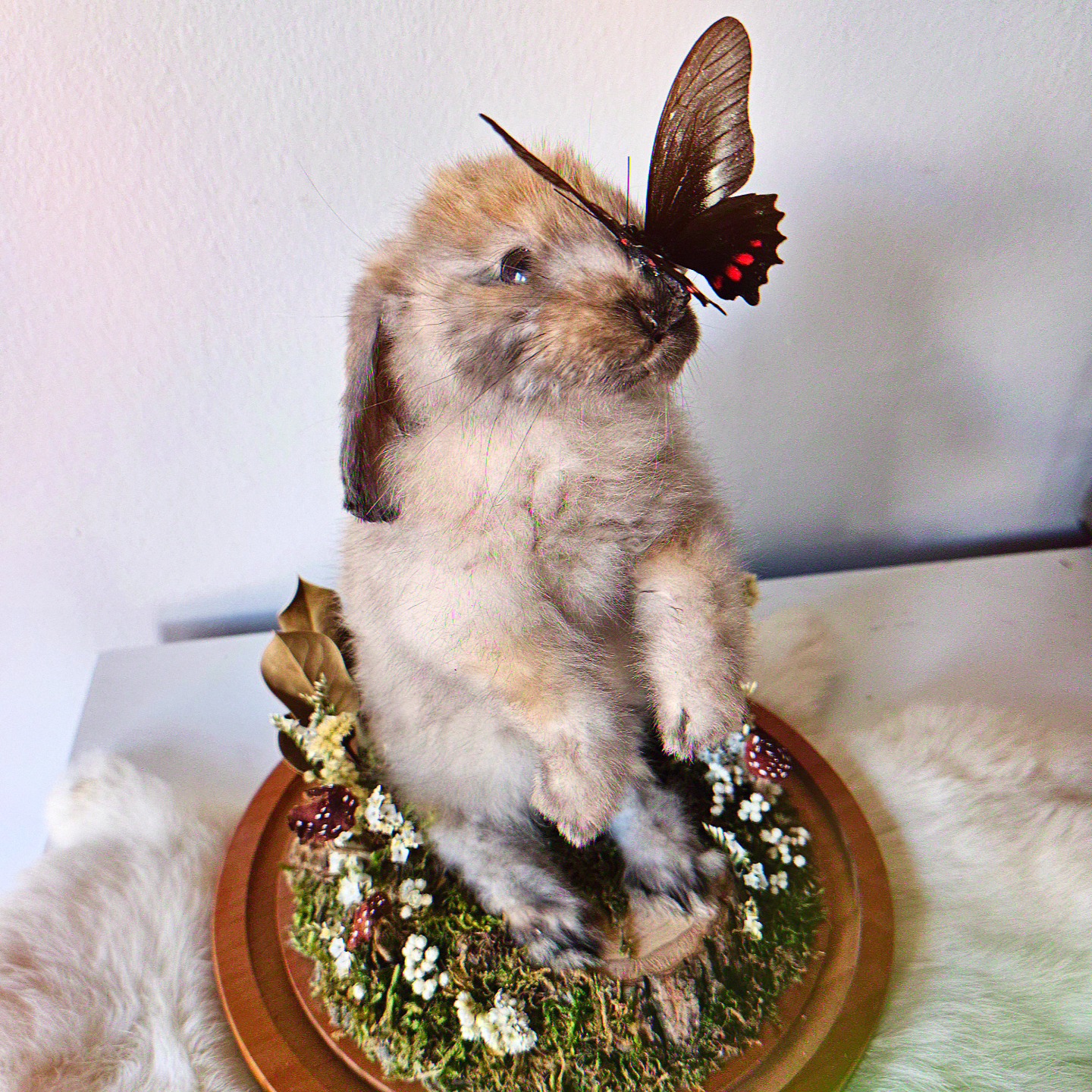 A fluffy animal with a butterfly on its nose, standing on a decorative base with flowers and greenery.