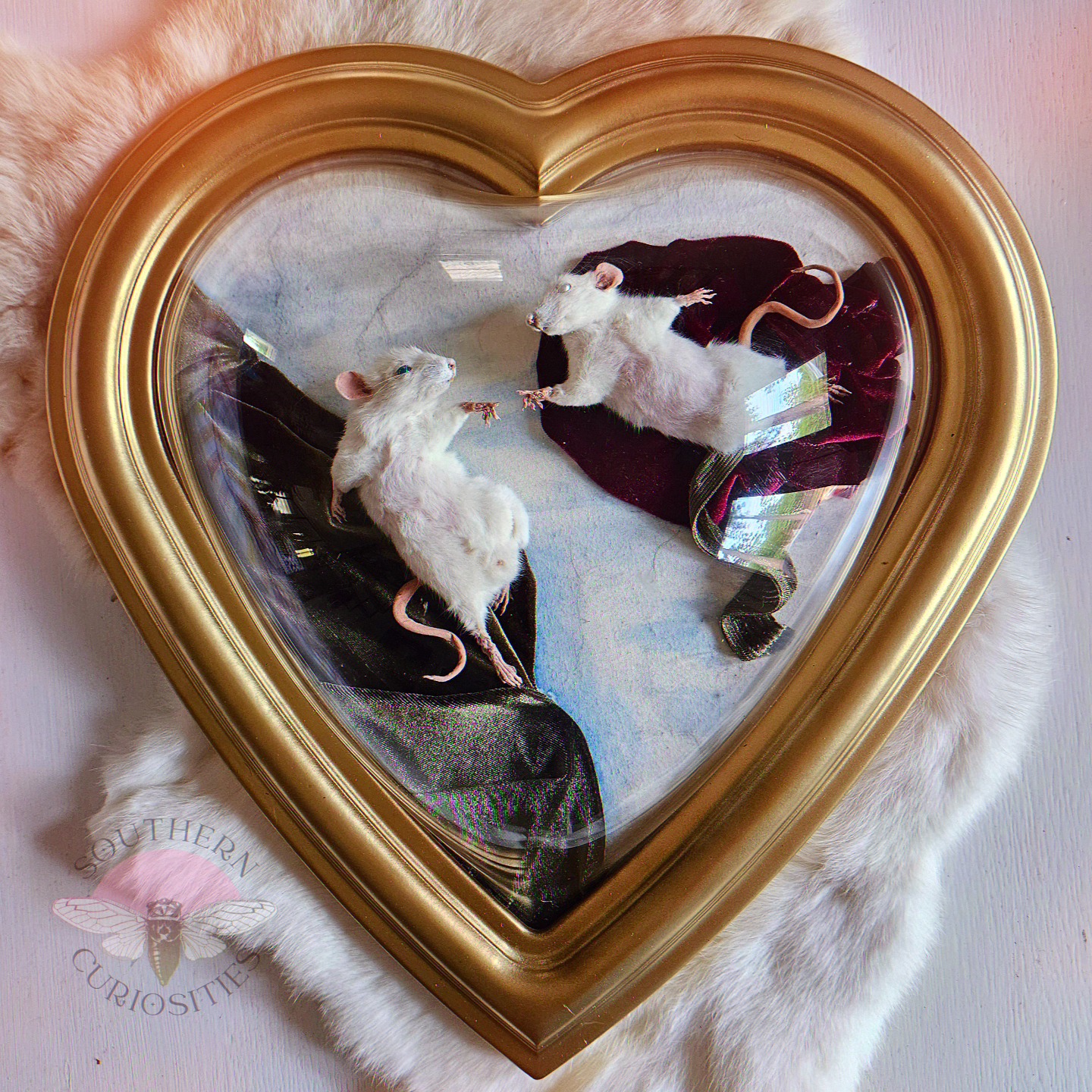 Heart-shaped mirror with two white mice inside, on a soft surface, with a pink and white background.