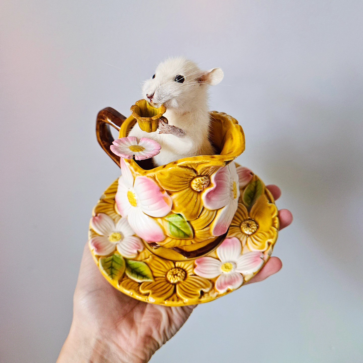 A small white mouse sitting inside a yellow teacup with pink and white flowers, holding a tiny yellow object.