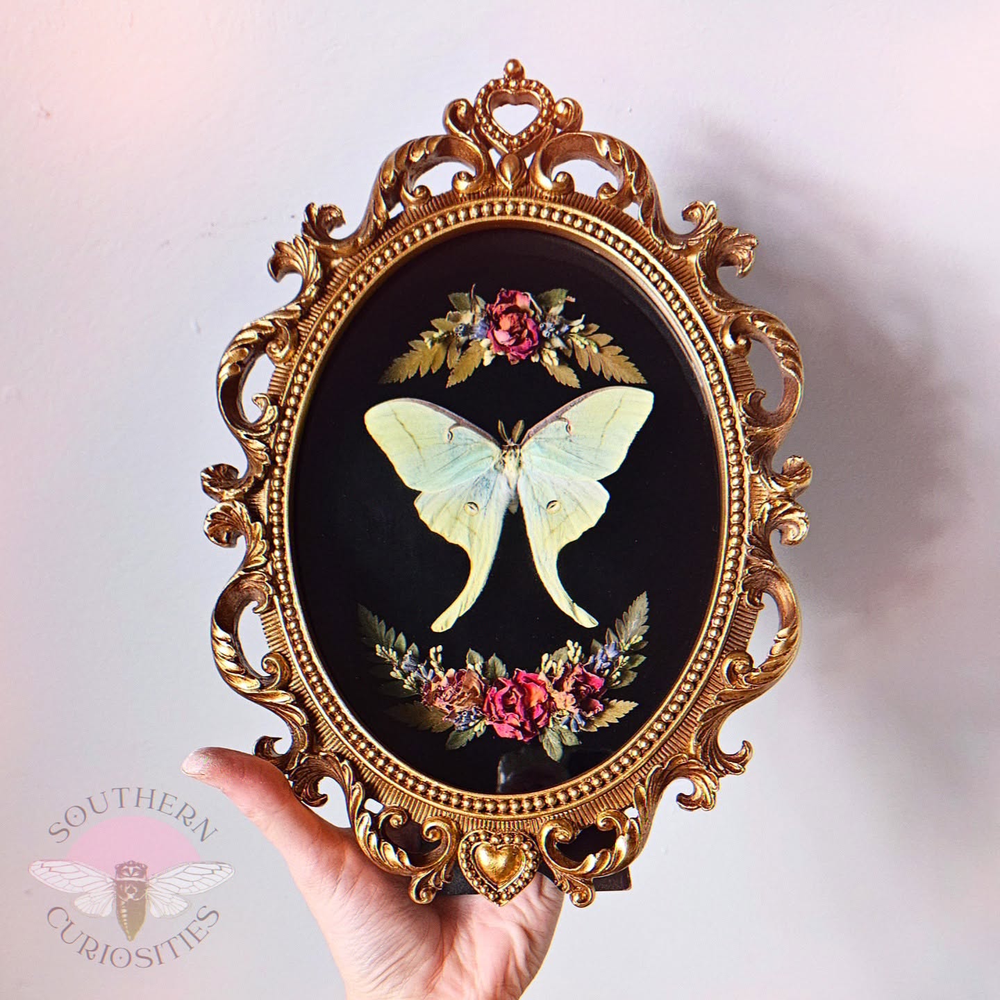 Ornate gold frame holding a butterfly illustration with flowers on a black background.