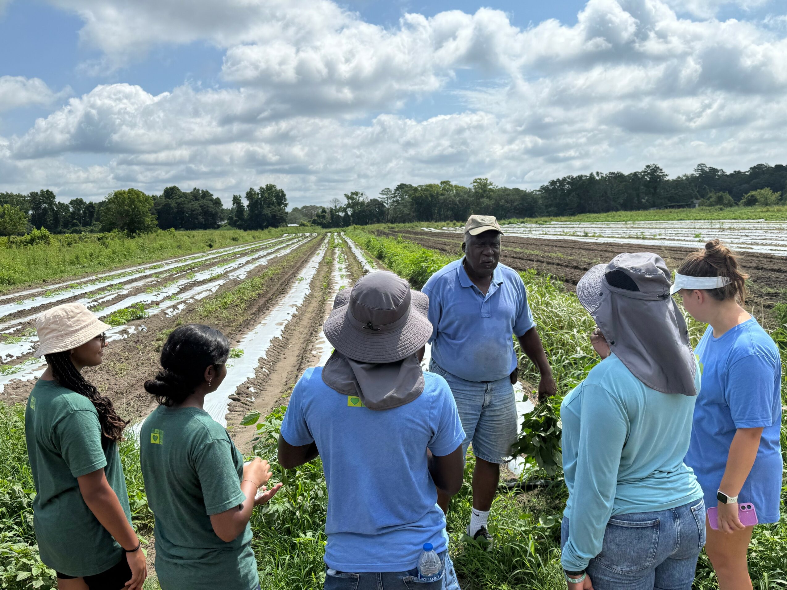Group of people standing in a field with rows of crops, talking to a man in a hat, under a cloudy sky.