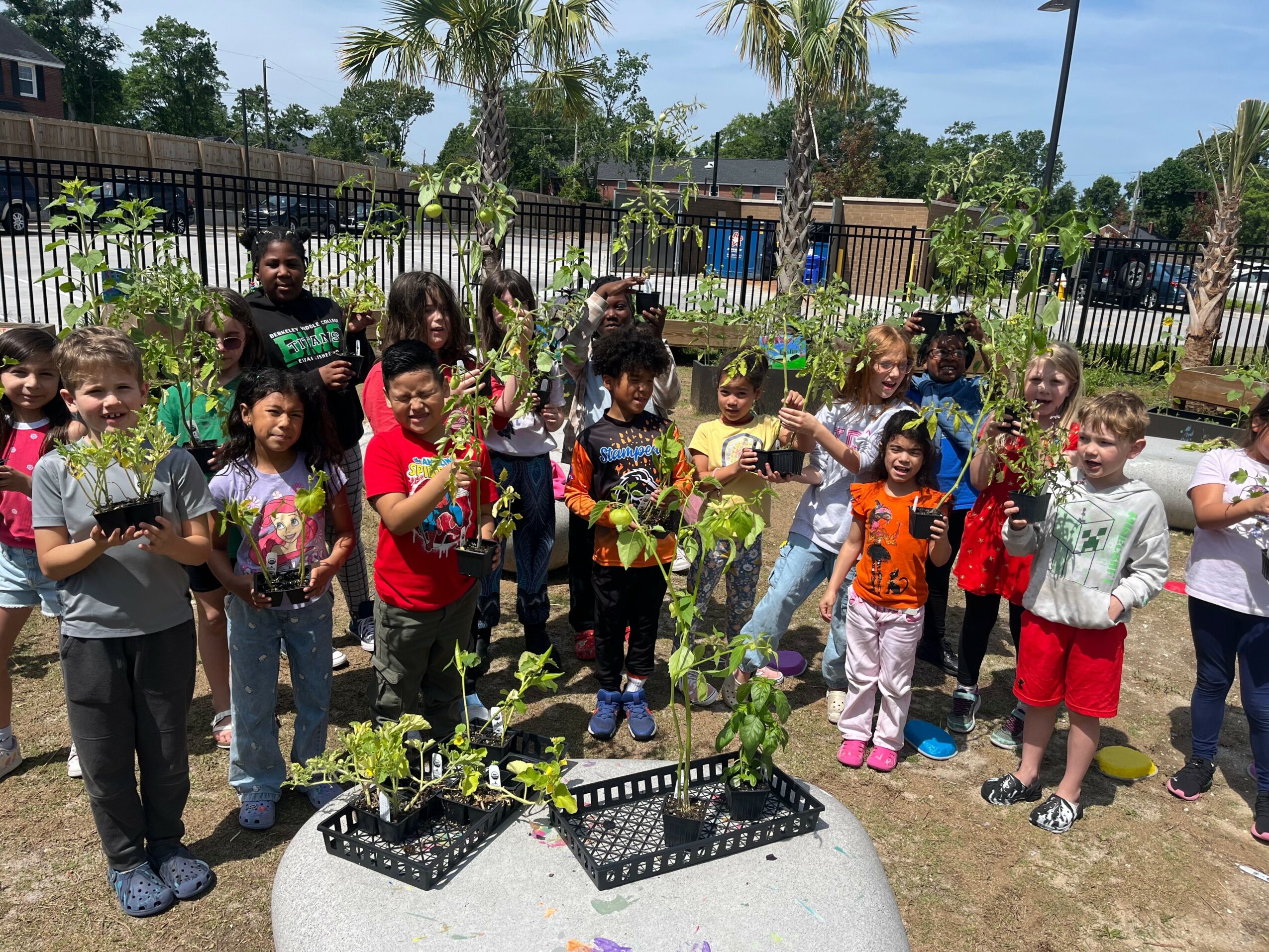 Group of children outdoors planting small trees, some holding watering cans, in a sunny garden area with trees and a fence.
